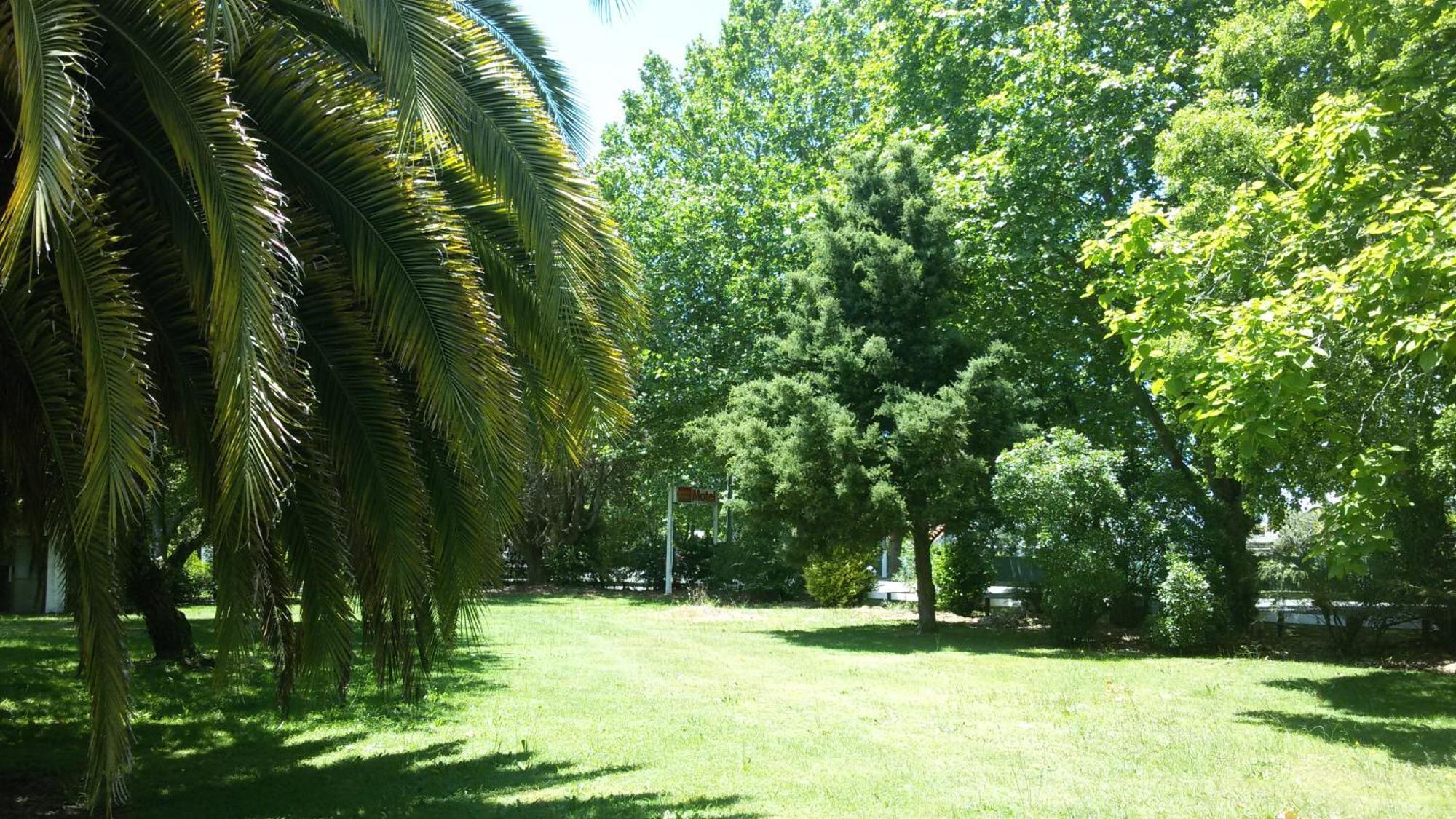 Kawerau Thermal Motel Exterior photo